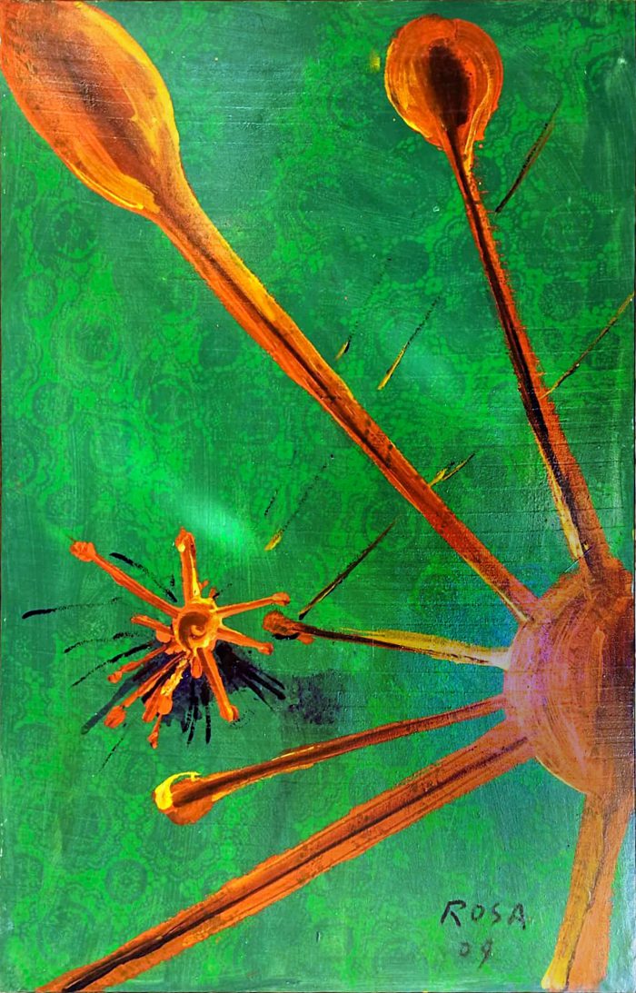 Virus,Energia, 2009 - 73x114 cm